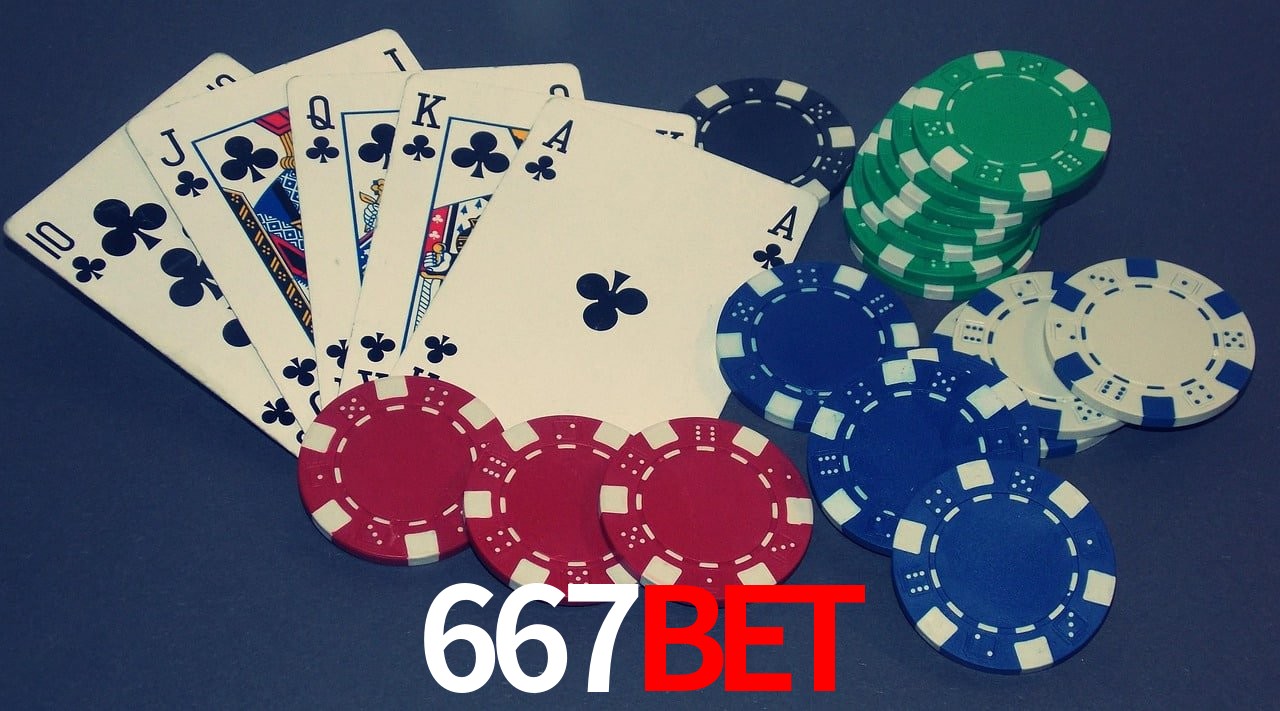 Experiência VIP 667BET